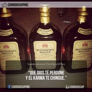 Meet your Posher, Liz