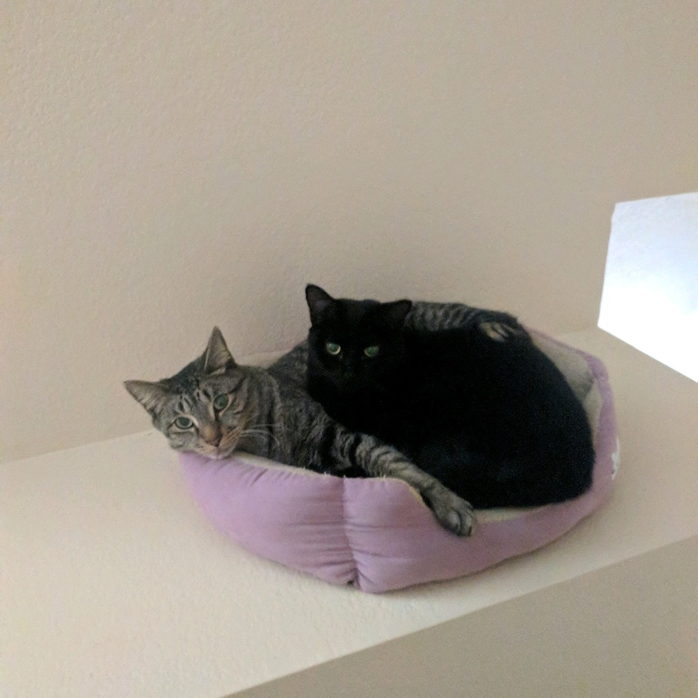 Meet your Posher, Lydia