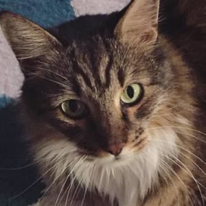 Meet your Posher, Carleigh