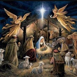 Meet your Posher, Monica rogers