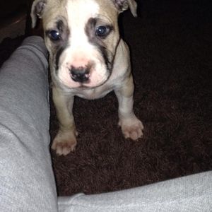 Meet your Posher, Aaron