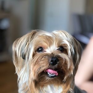 Meet your Posher, Rina