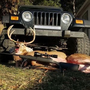 Meet your Posher, Austin