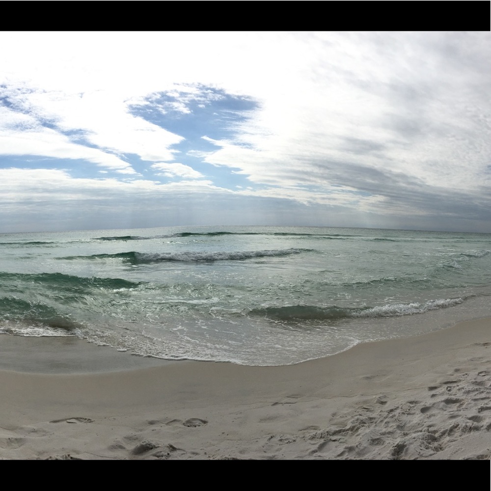 Meet your Posher, Elle