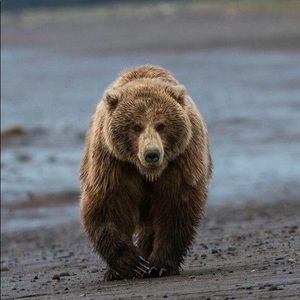 Meet your Posher, Zach