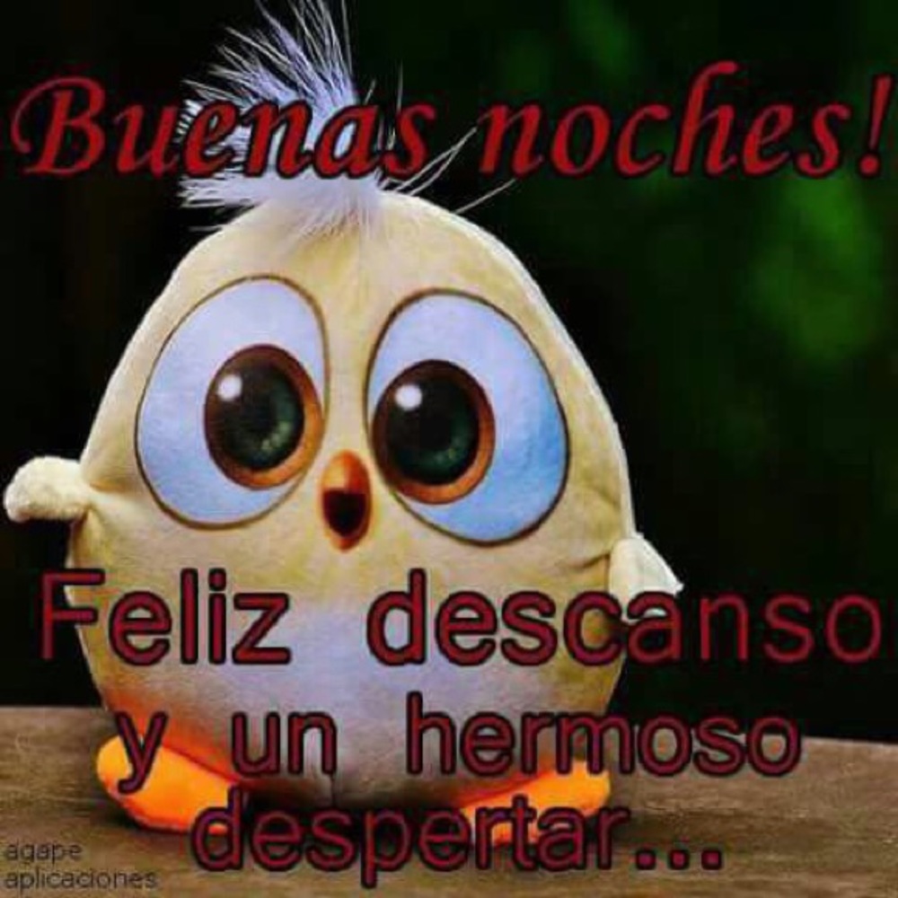 Meet your Posher, Adriana