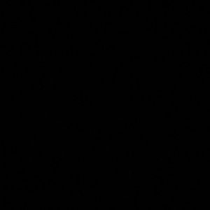 Meet your Posher, Jaryl