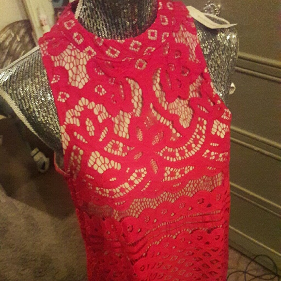 Just GORGEOUS BRAND NEW LACE STUNNER - Picture 1 of 3