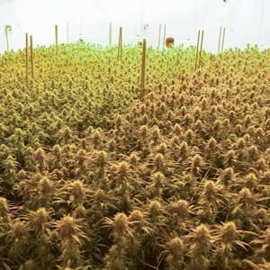 Meet your Posher, Bishop