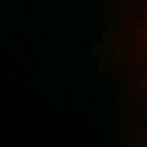 Meet your Posher, Gus