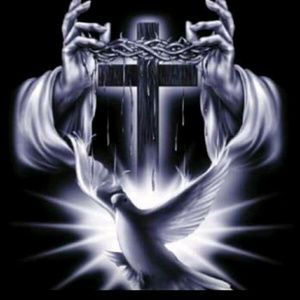 Meet your Posher, Herman