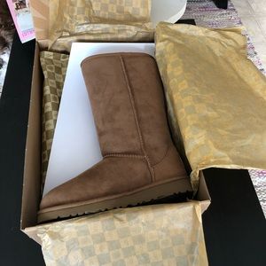 Brand New still in the box UGG classic tall boots