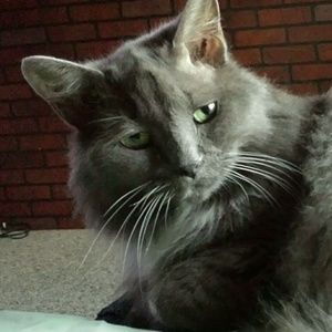 Meet your Posher, Loretta