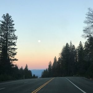 Meet your Posher, Adelle