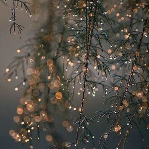 Meet your Posher, Alize