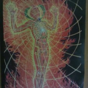 Meet your Posher, Lonnie