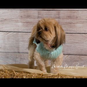 Meet your Posher, Arlene