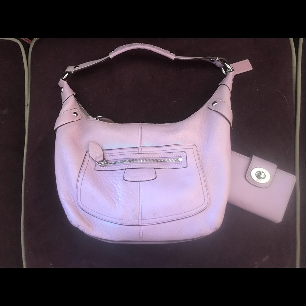 Coach Hobo Bag & Wallet