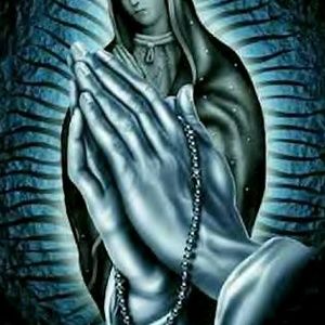 Meet your Posher, Darrell