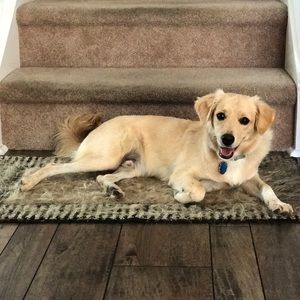 Meet your Posher, Hali