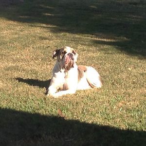 Meet your Posher, Kasey