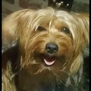 Meet your Posher, Kenneth