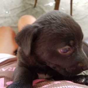 Meet your Posher, Tammy