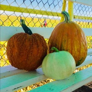 Meet your Posher, Zoe