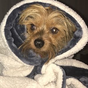 Meet your Posher, Lucyna