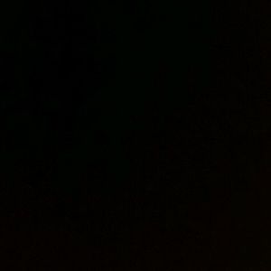 Meet your Posher, Samara