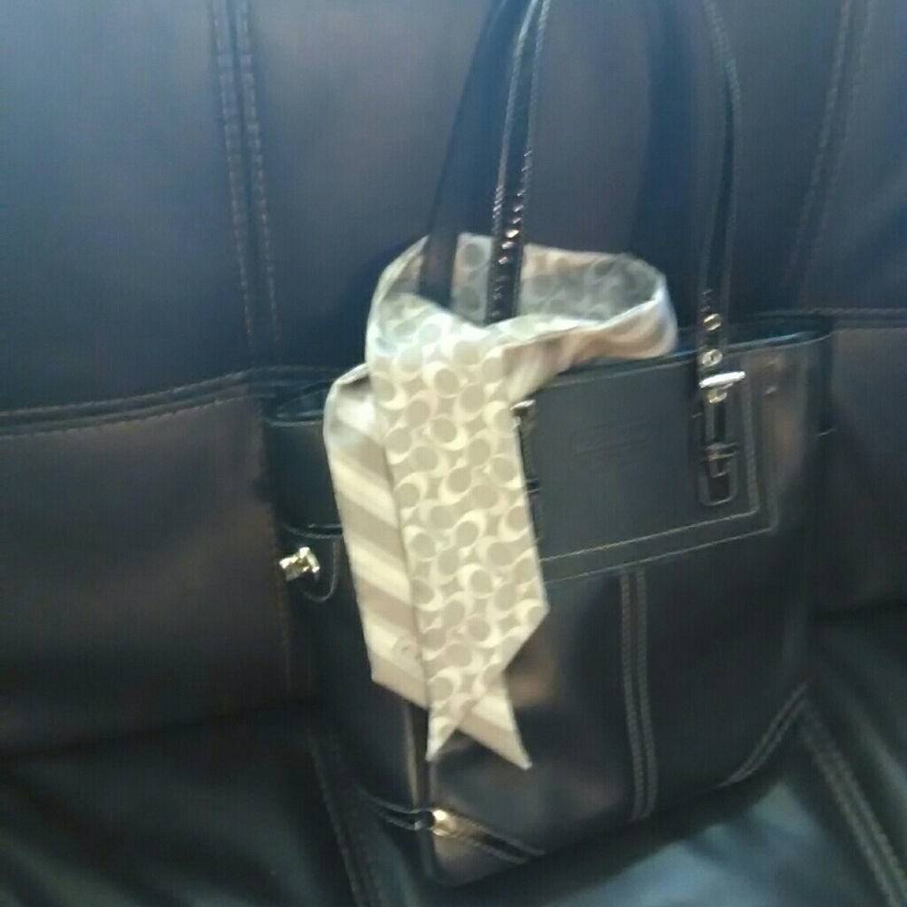 COACH Silk Purse Scarf / Hair Scarf