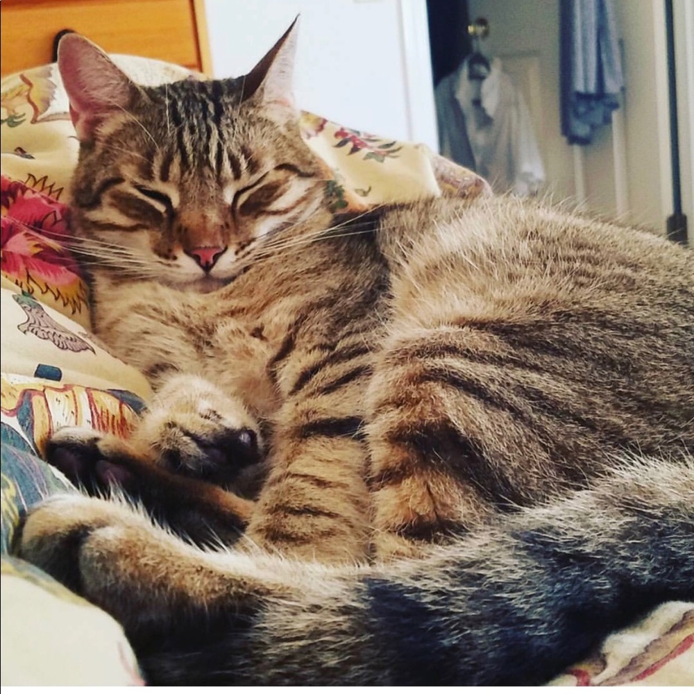 Meet your Posher, Michele