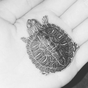 Meet your Posher, Larissa