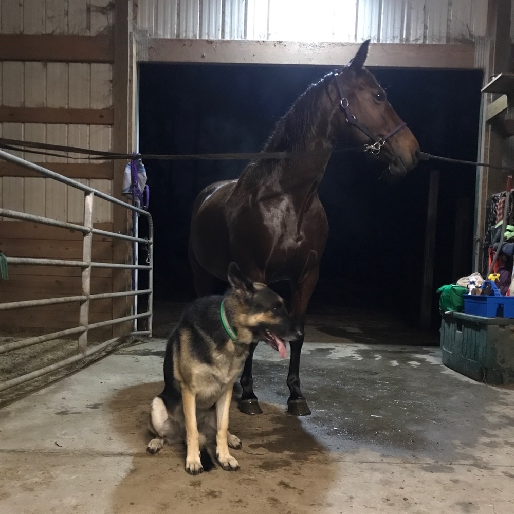 Meet your Posher, Juli