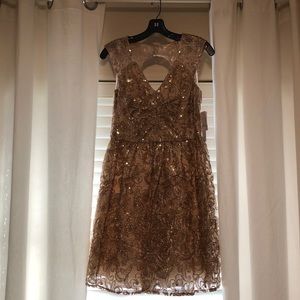 Gold Holiday Dress NWT