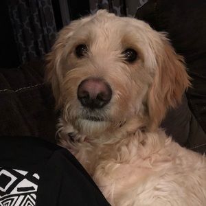 Meet your Posher, Lillian