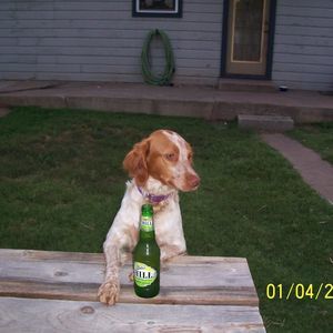 Meet your Posher, Carol