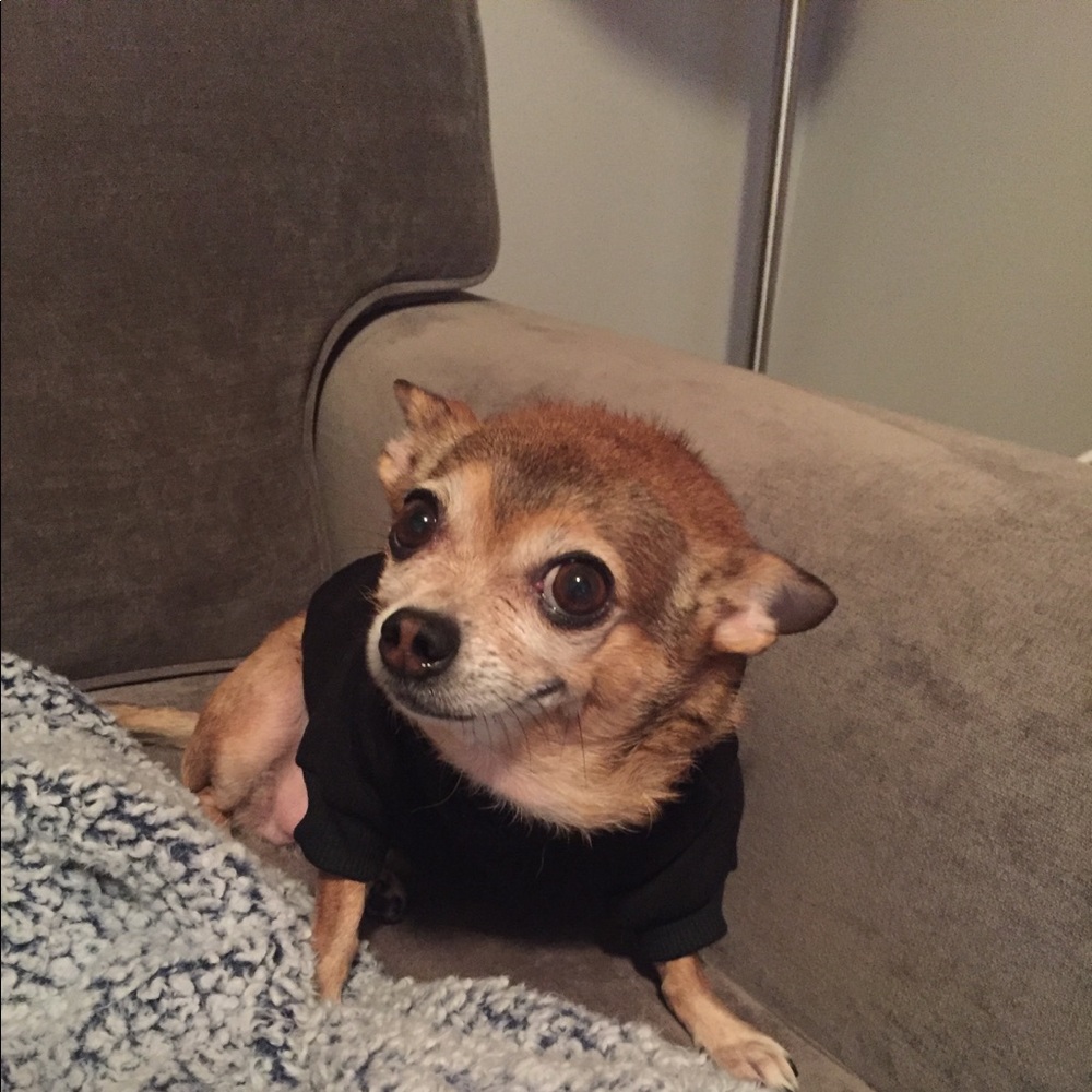 Meet your Posher, Yeidy