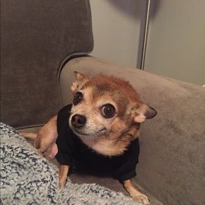 Meet your Posher, Yeidy