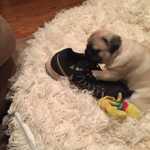 Meet your Posher, Nicholas