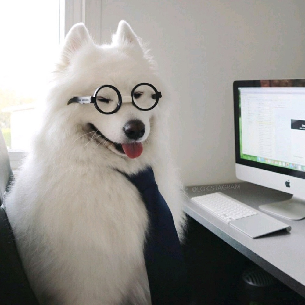 Meet your Posher, Sharon