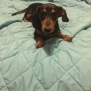 Meet your Posher, Cassandra