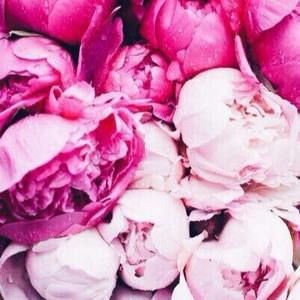 Meet your Posher, Natali