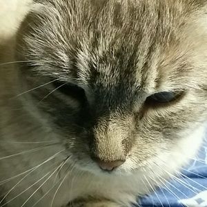 Meet your Posher, Pat