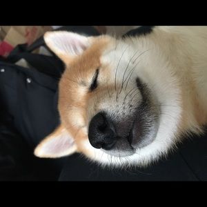 Meet your Posher, Liting