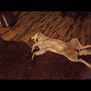 Meet your Posher, Jackie