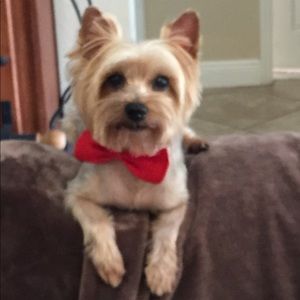 Meet your Posher, Rossana