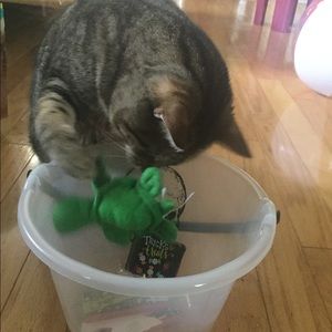 Meet your Posher, Jonathan