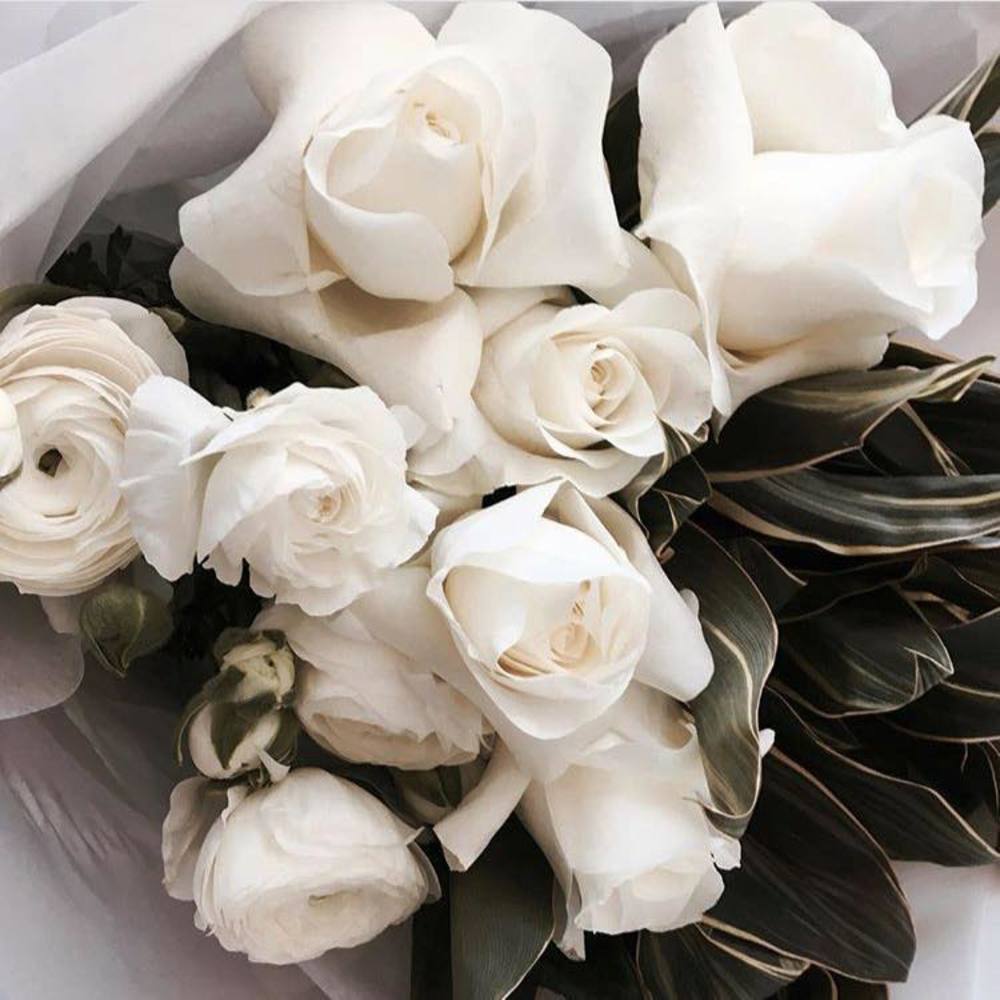 Meet your Posher, Jenifer