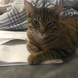 Meet your Posher, Dan